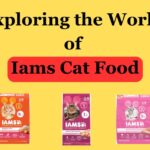 Exploring The Best 3 World of Iams Cat Food